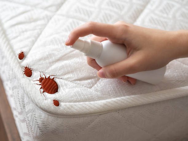 Best Bed Bug Extermination  in Lyman, WY